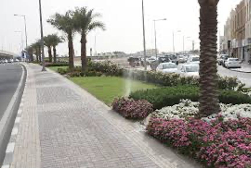 Landscaping project 2