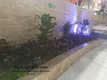 Landscaping 3